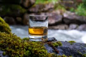 Increase Whiskey Production